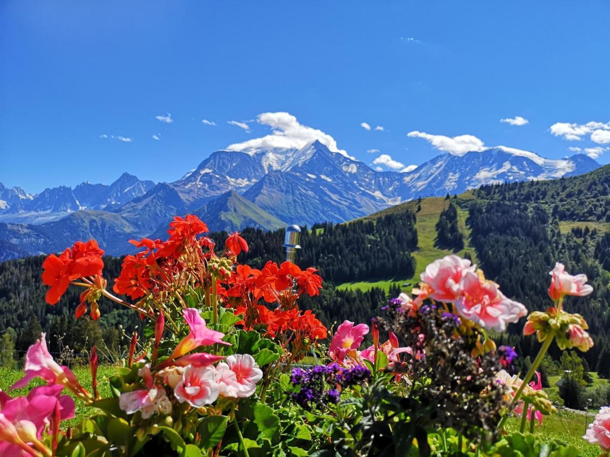 Duo Des Alpages Vue Exceptionnelle Sur Le Mont Blc Apartment แซ็งต์-แฌร์เวส์-เลส์-แบ็งส์ ภายนอก รูปภาพ