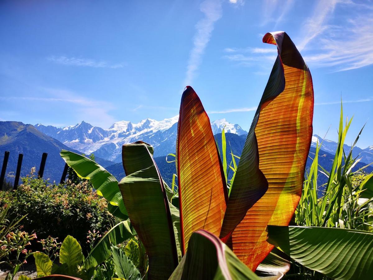 Duo Des Alpages Vue Exceptionnelle Sur Le Mont Blc Apartment แซ็งต์-แฌร์เวส์-เลส์-แบ็งส์ ภายนอก รูปภาพ