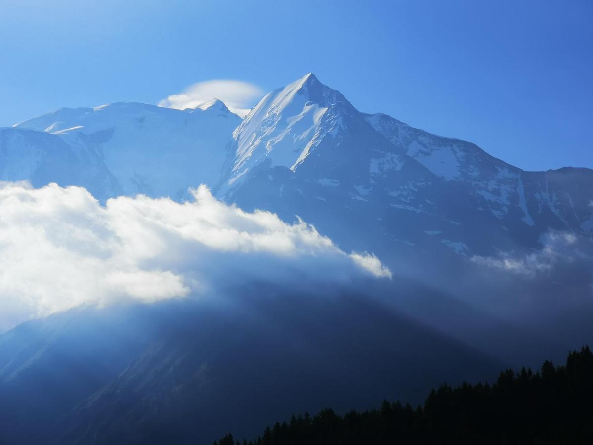 Duo Des Alpages Vue Exceptionnelle Sur Le Mont Blc Apartment แซ็งต์-แฌร์เวส์-เลส์-แบ็งส์ ภายนอก รูปภาพ